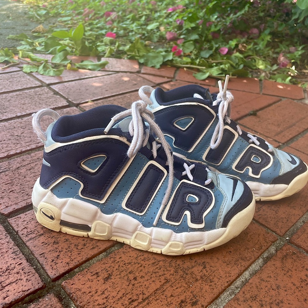 Nike air pippen sneakers